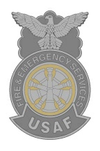 7t - AF FES Chief two tone Metal Badge.jpg